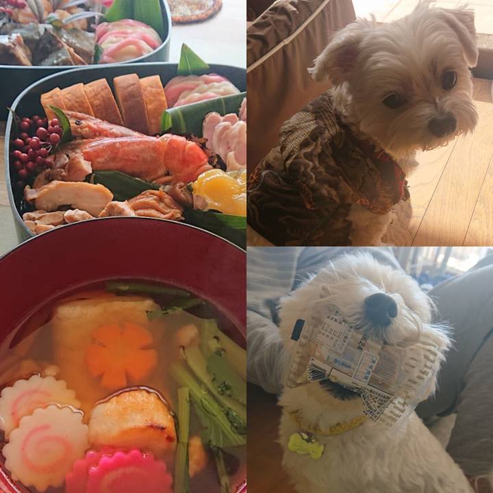 33dcc5b8 8584 4e46 aca6 2fdf7df141b9 1609468142098