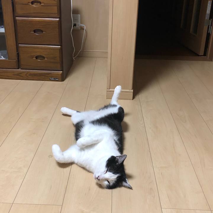 33dcf21f 4693 4943 a65b 00c04bfc2bb4 1569319179210