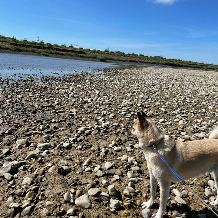 33dd0ad3 82f1 44b2 bbc3 c9f1fd9b9161 1693136956017