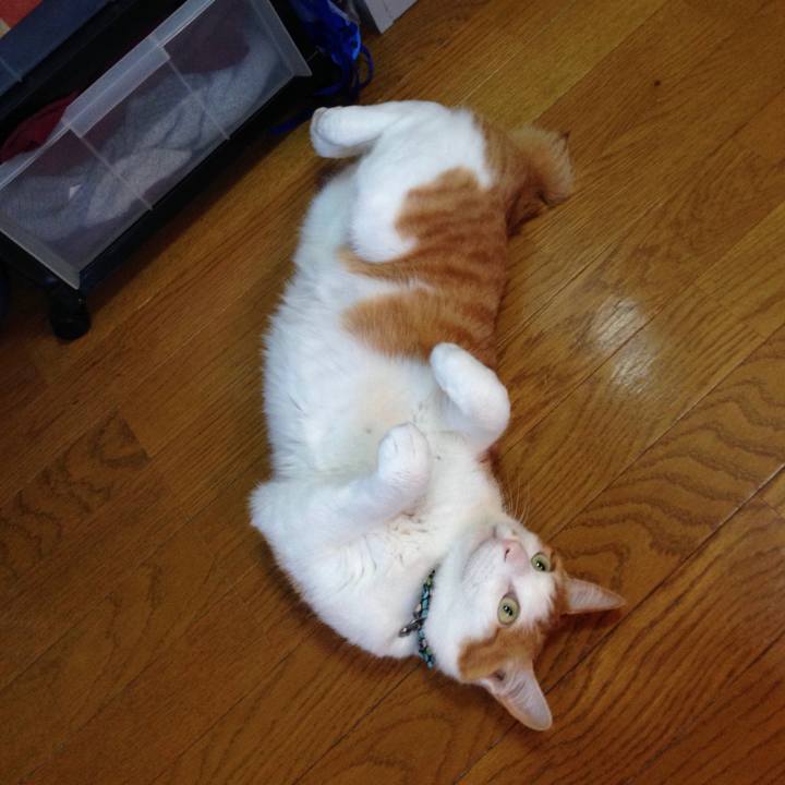 33dd20df 6b47 4255 a384 1301bbc2b4fc 1525001167075