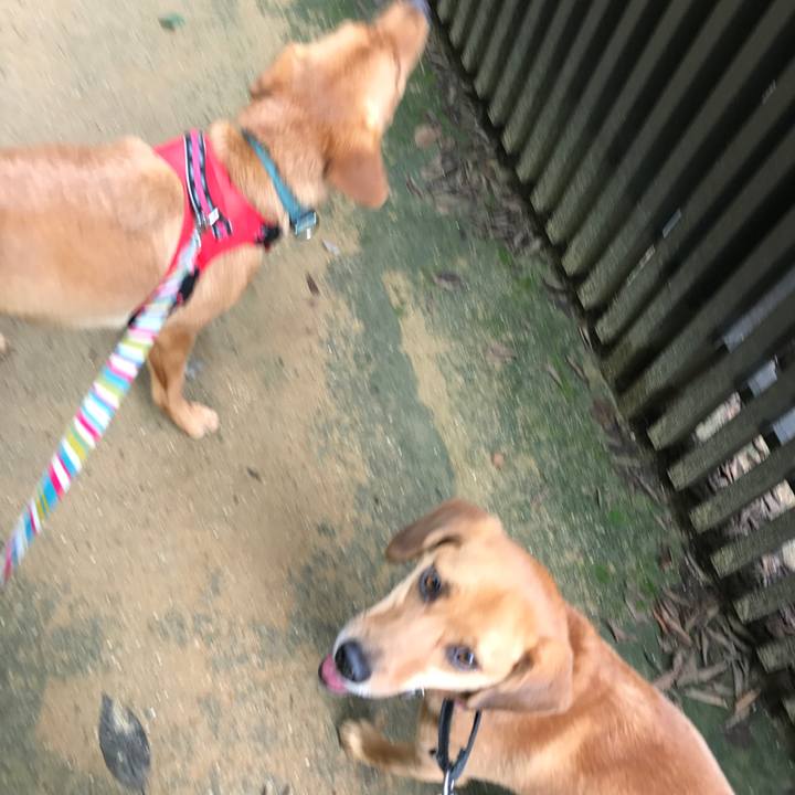 33dd43b2 457c 4464 8ee8 9202776f9551 1508981886519