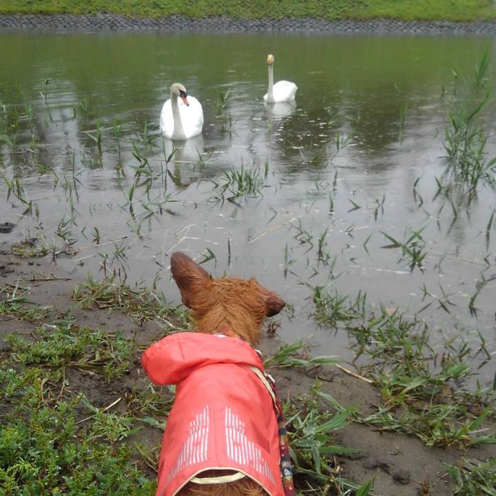 33dd5411 612e 4d7c 95c7 72022b217188 1560600503399