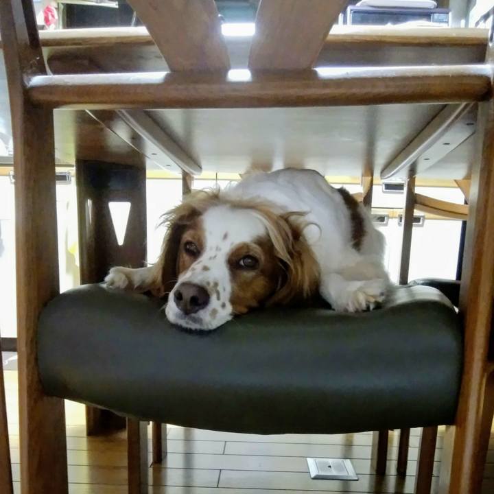 33dd5cc2 b713 49c1 828d c32a8b63fab6 1536740043822