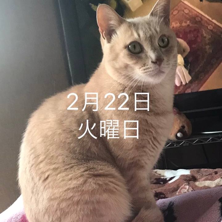 33dd602f 749f 4192 b363 2ccba67fd98b 1645472290760