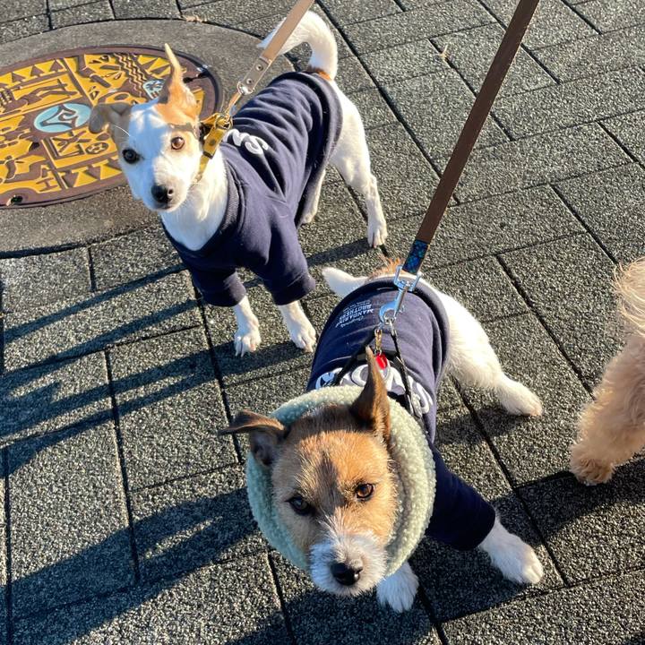 33dd74bb 02c9 4b6b 9c6c e336568b0fc1 1611043587026