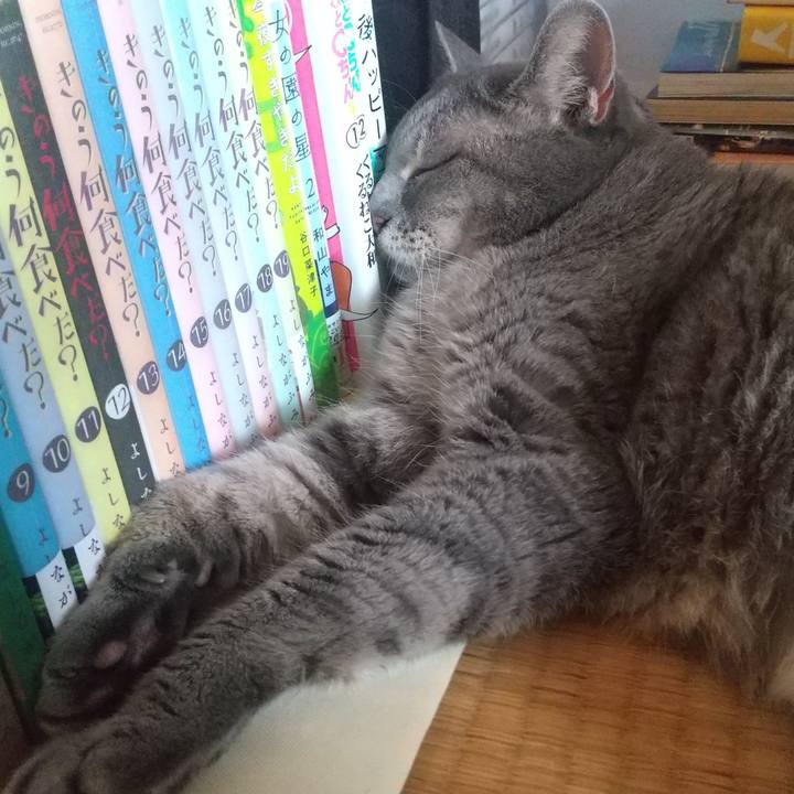 33dd7540 fc7b 4e13 8117 e4c98ea411fb 1661054466422