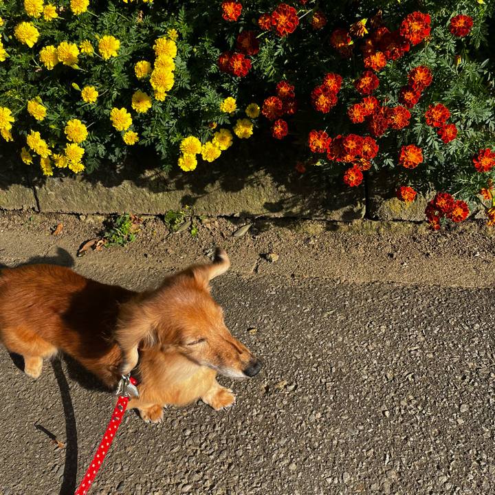 33dd9747 0dfe 4416 b713 f51cbc5e5b33 1666354056372