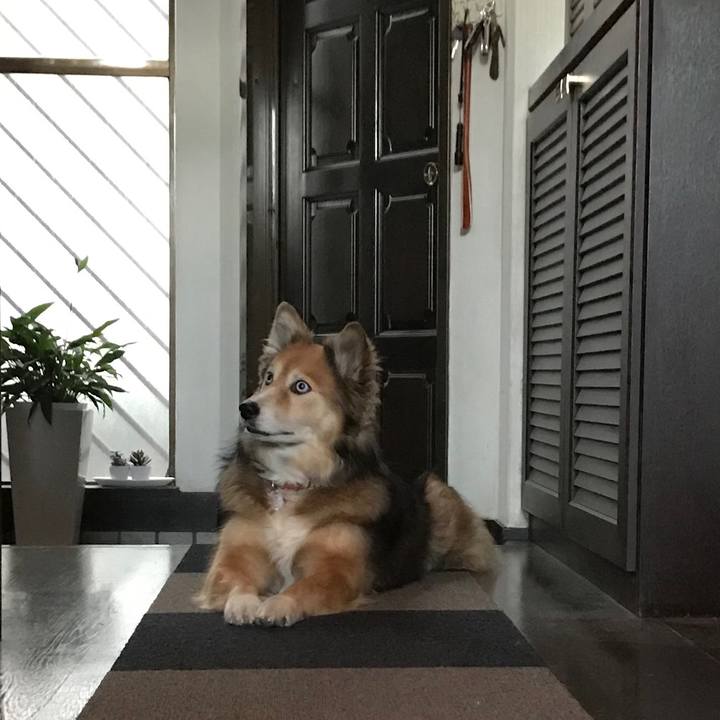 33ddb08a 33de 4128 bb9d 857f10997f90 1549006320184