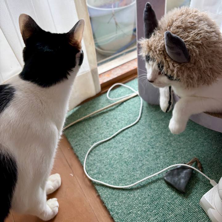 33ddb8bb 76fd 44ab ac3e c3c3ff098134 1762057239737