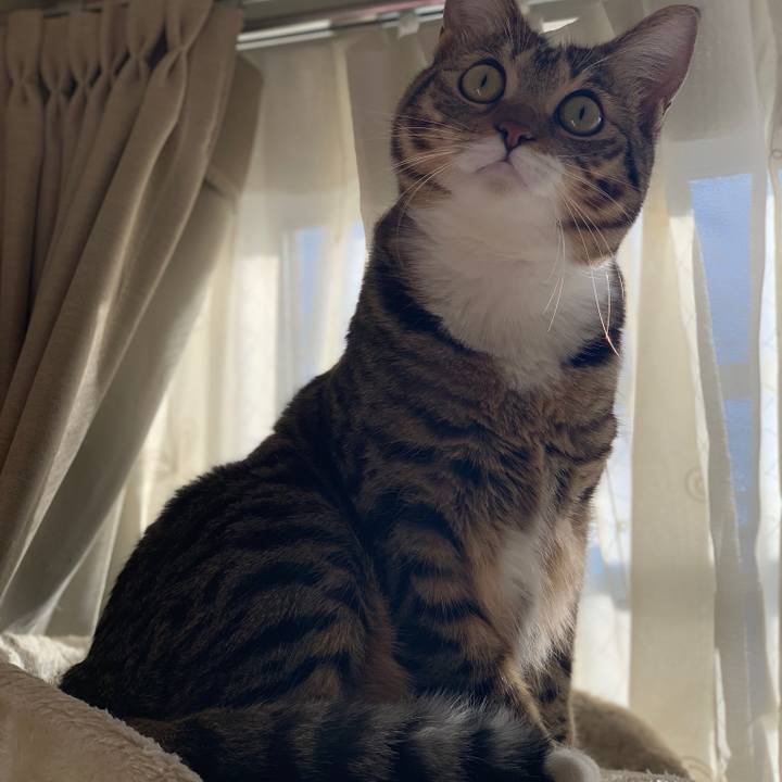 33ddd566 057b 4c28 a4ef 5456275ef93f 1546059518432