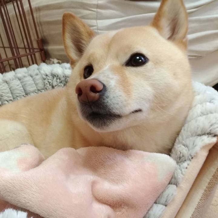 33de27a3 a276 49f7 9992 416f83b83c17 1583450206864