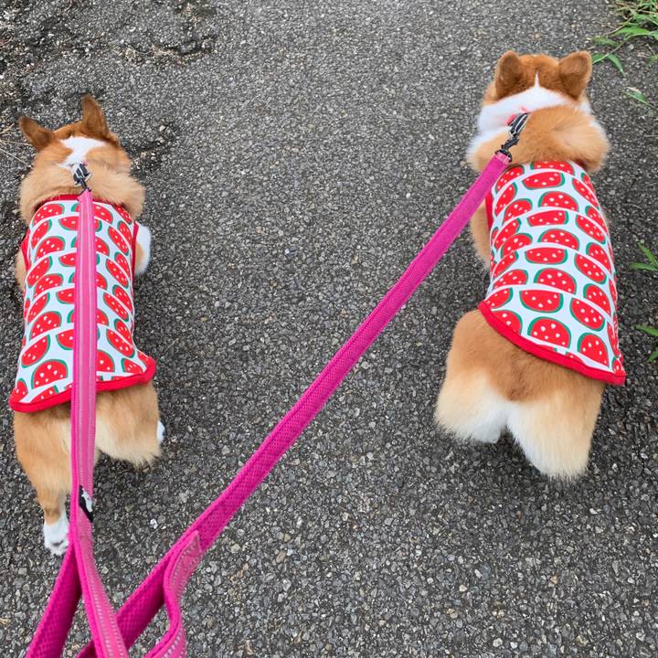 33de27f1 42c0 4eb3 8e65 d729aa35ca85 1566968643046