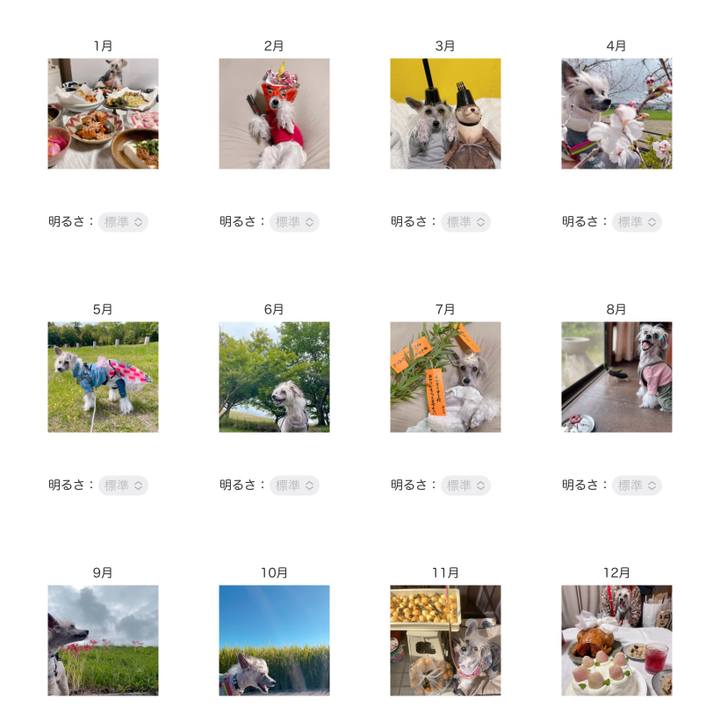 33de4645 05ee 47e8 992a c23dff5feb7c 1762253807646