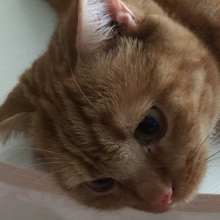 33de5311 28ae 473f ac37 be3bd65d4f6d 1564200898459