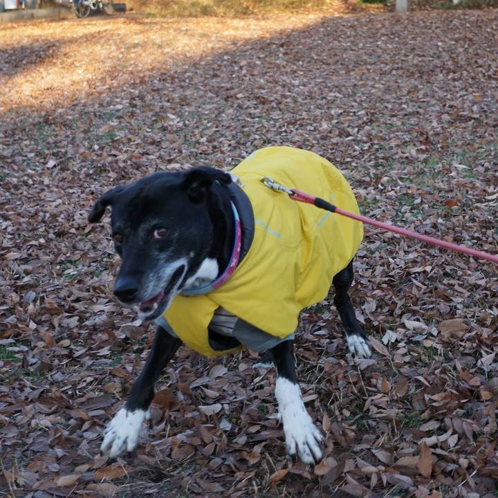 33de6ee1 971a 44eb 80ce d1be64e079c8 1766453767316