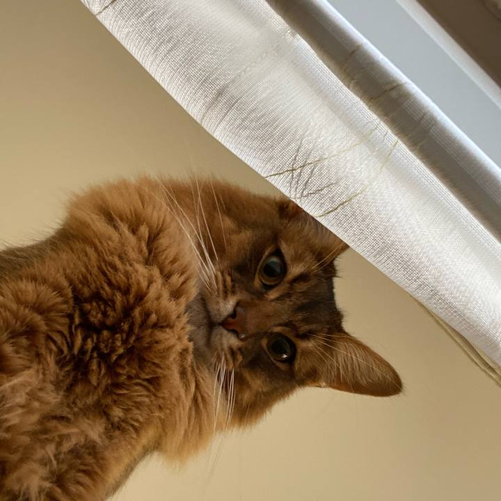 33dea647 6d62 4a35 b0d3 e7e5c8921d09 1645925081582