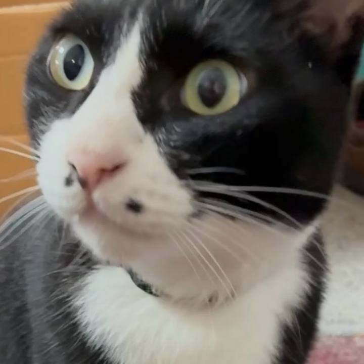 33ded22e 6890 4df0 8842 b67d21c7a6e2 1754447639942