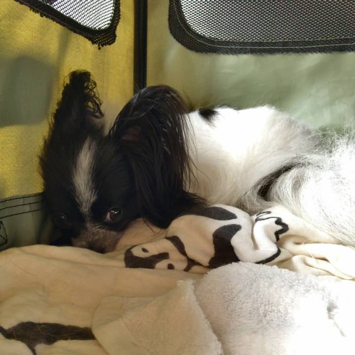 33dede60 1947 4cc3 926e 018601d57157 1535864348515