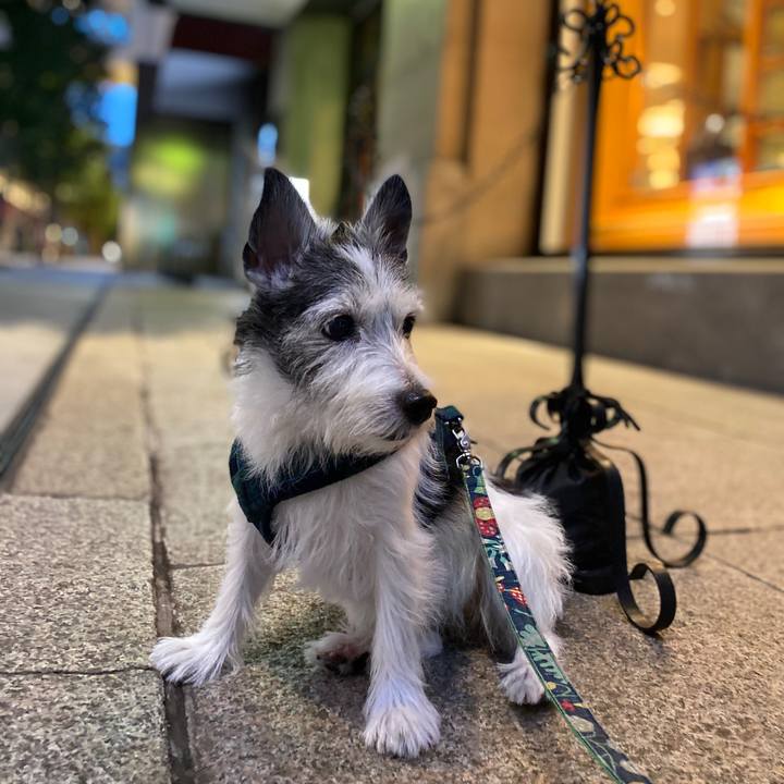 33defd11 55d9 42fd af37 f6a7d7abb20f 1601471908245