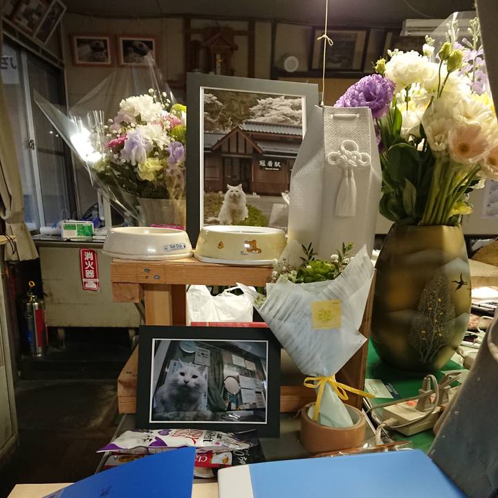 33df1621 51bb 43f8 9451 657c76cfd610 1577141012439