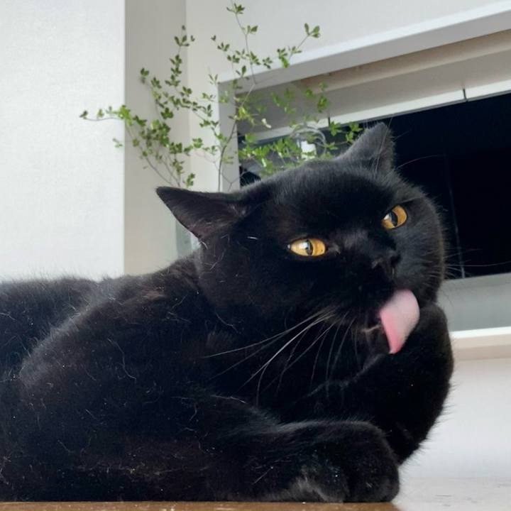 33df3c94 2c45 4fca 8117 e8ac1fec6498 1691964350910