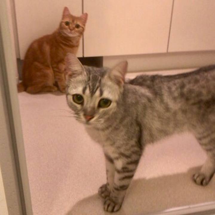 33df3d7e 8b10 4fb0 b320 b91547129989 1531830620939