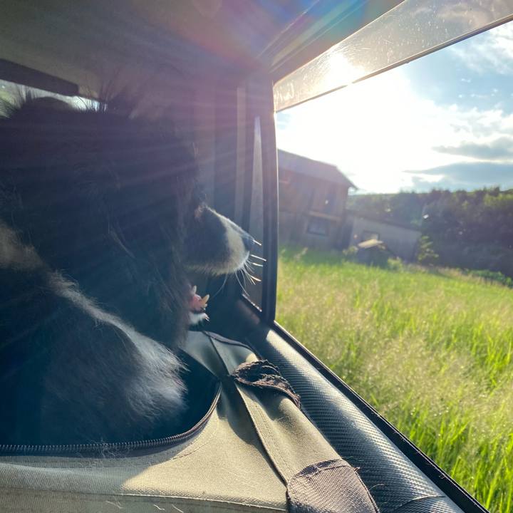 33df4af7 d038 40bb a5b8 67cedbb656a3 1693951334120