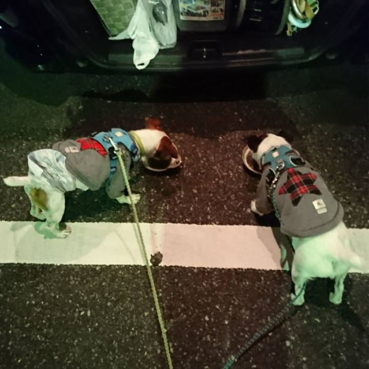 33df52af 9f57 4d6f 9c9d 409607f3b638 1606134107951