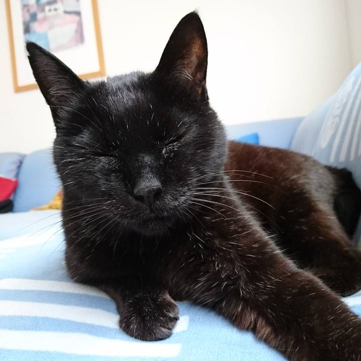 33df601f b0ba 4a97 a68f 536b47821caa 1589105053477