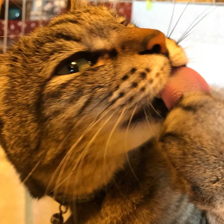 33dfa344 0b00 400d 8fc7 8ccdc1d95178 1566113449973