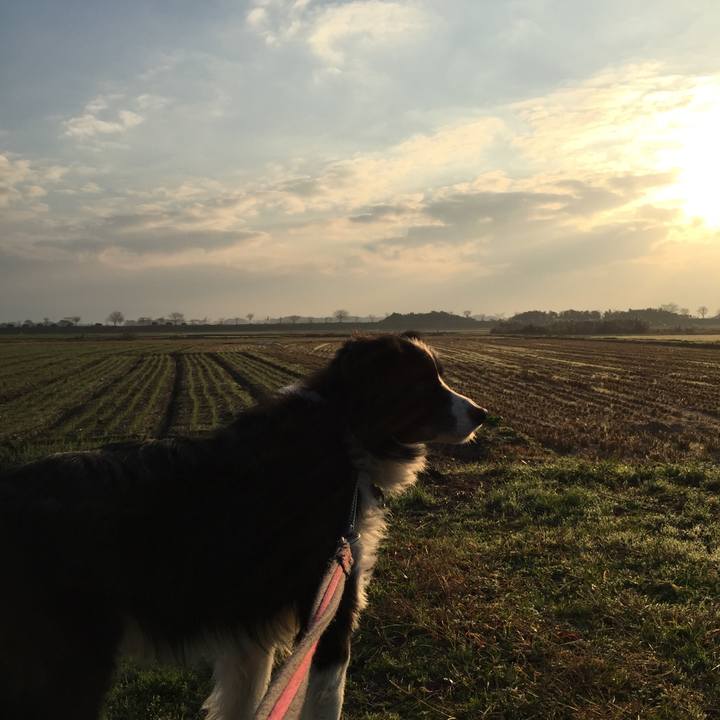 33dfa941 d0aa 4605 b65f d7c032265057 1544656184811