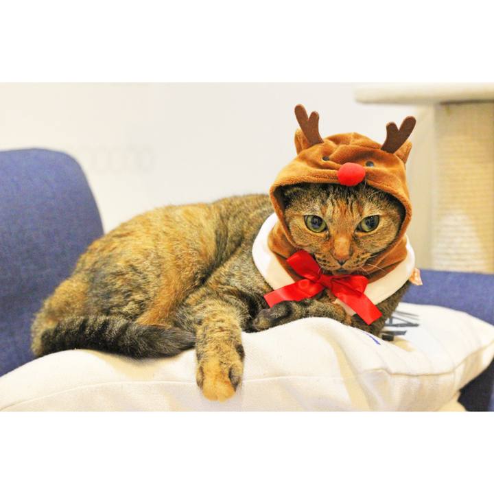 33dfab71 7c18 4dc8 9a7f 74750de4eabb 1577202028743