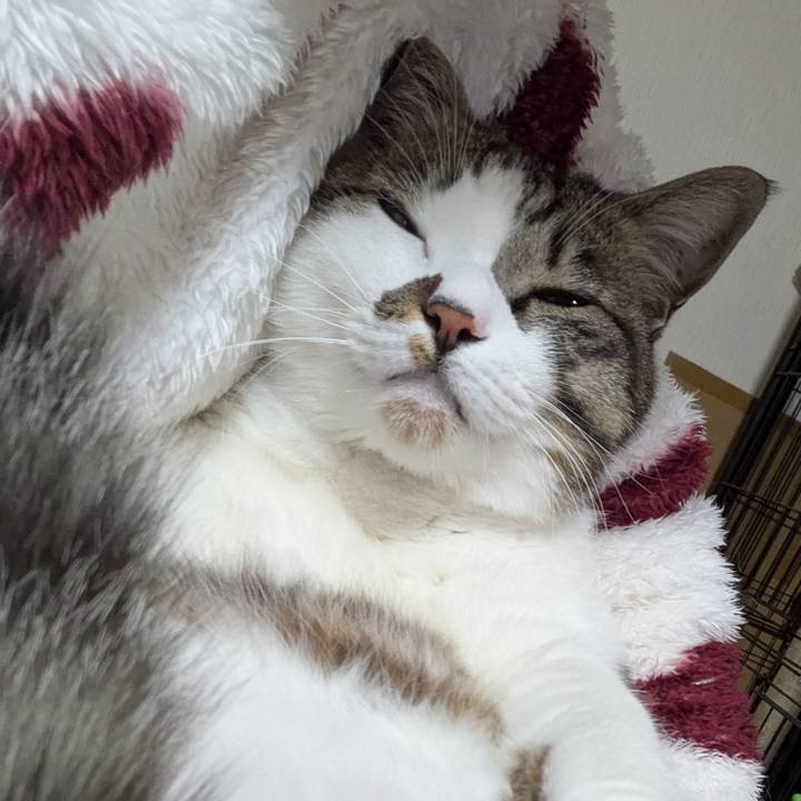 33dfb639 c795 40f2 9384 0fbbe304acd7 1743261593600