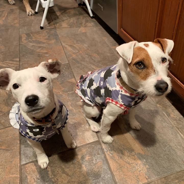 33dff015 e0d8 4e02 bbc4 be386c8500ff 1544280185519