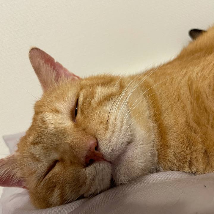 33dff140 ca69 41a2 bf79 d76aece76704 1630936128642