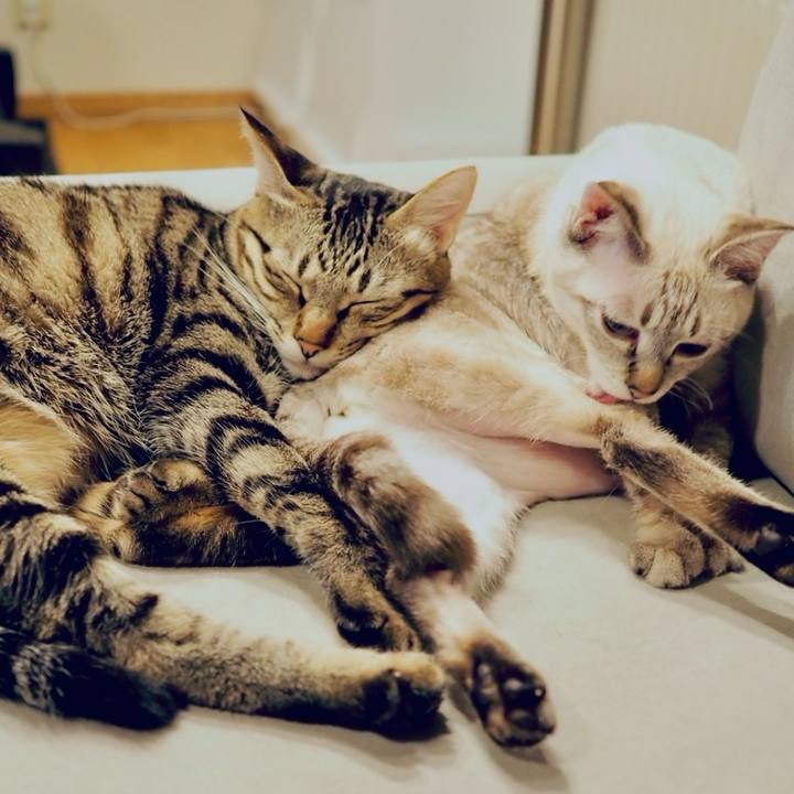 33dffeb2 99dd 4b37 8a6b 444a3ef810c5 1773229829867