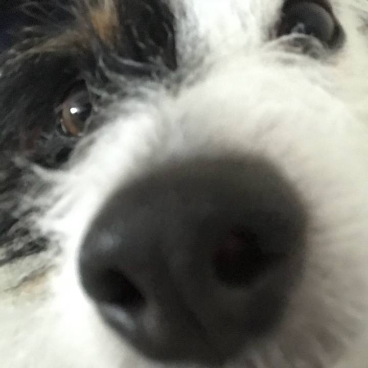 33e0138d 33ab 49de 939d 11463b69e473 1520231449234