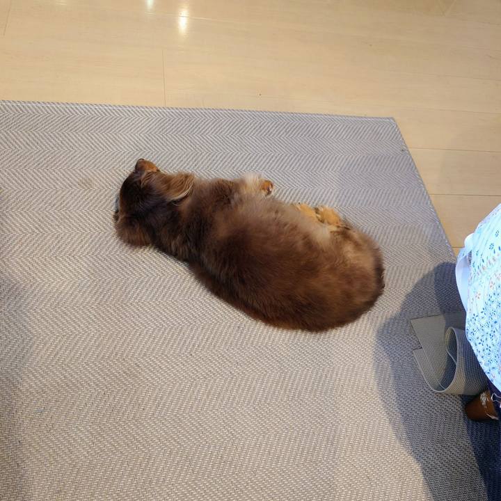 33e03879 5b56 47ab 91c4 e8fe6cad0722 1759035484025