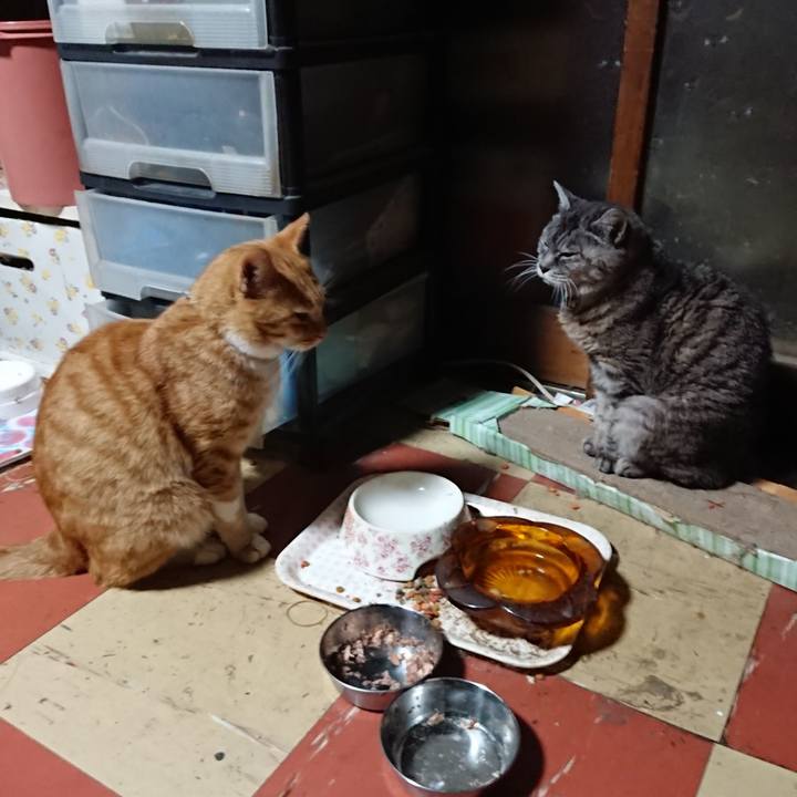 33e06b36 5559 4092 aa22 d21187768d86 1570823436248