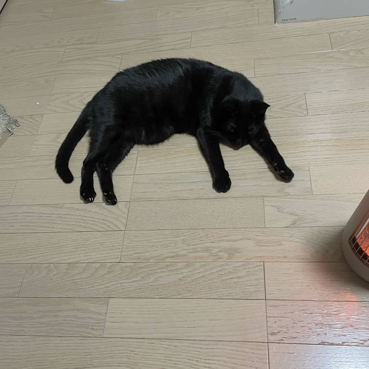 33e07ebd 50bf 4e38 a9ba 4e1c41a50550 1765888486187