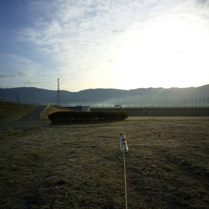 33e0a7d8 1639 4004 8b3c 733dcc641d79 1519344385072