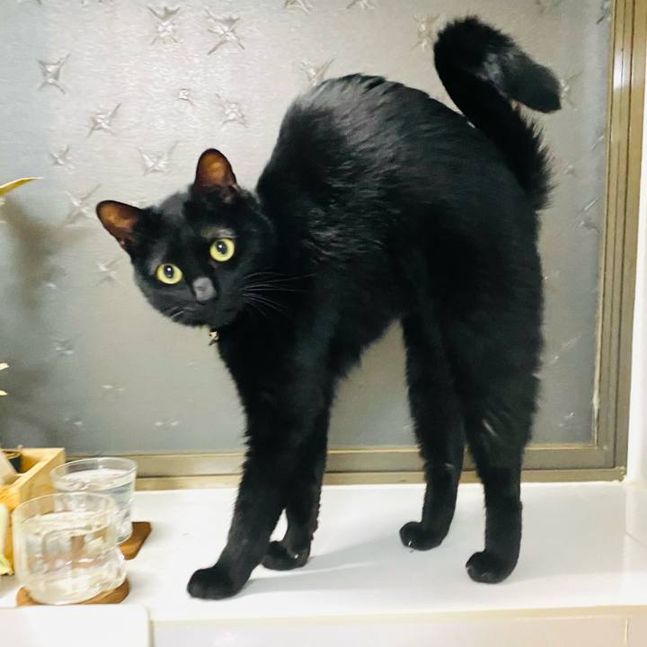 33e11135 889b 4b38 a529 0bf7e3f5820f 1700659798095