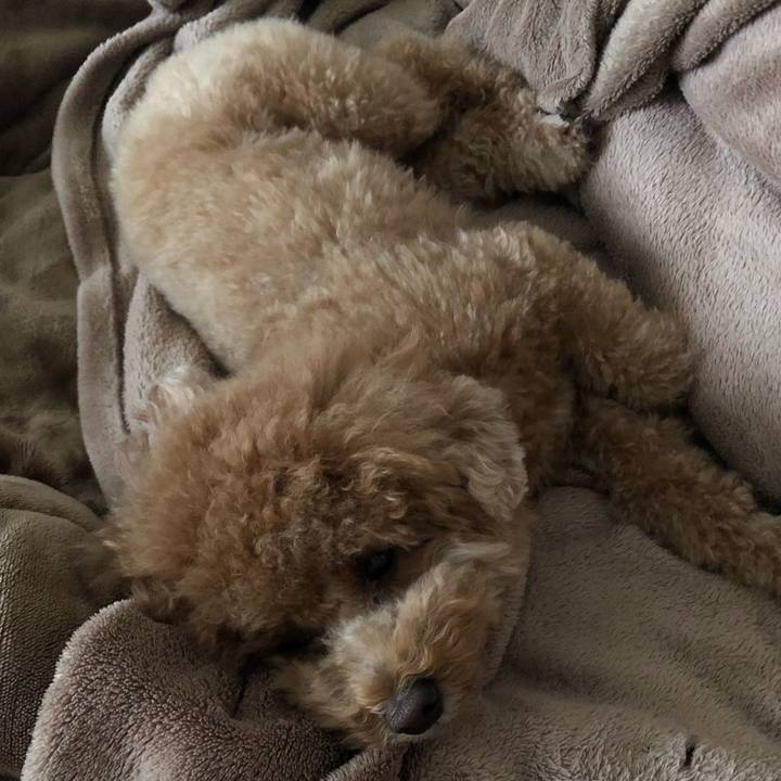 33e12275 1c4a 4b7f b390 63792d7b9270 1602901722505