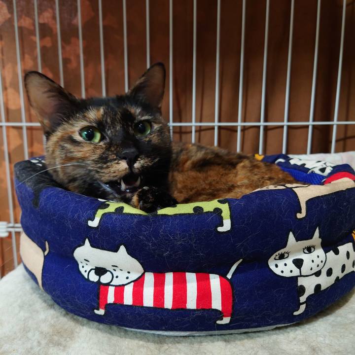 33e133f0 af6e 4c95 9732 7d163f829344 1669871129331