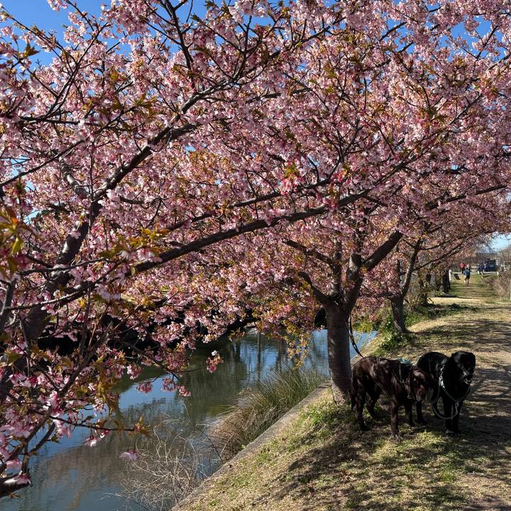 33e1b45e 3773 4df4 8801 eccf5f169c6c 1773579278395