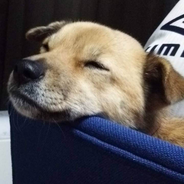 33e1bdad fe84 49b5 9597 5ba44e8db17a 1644070537532