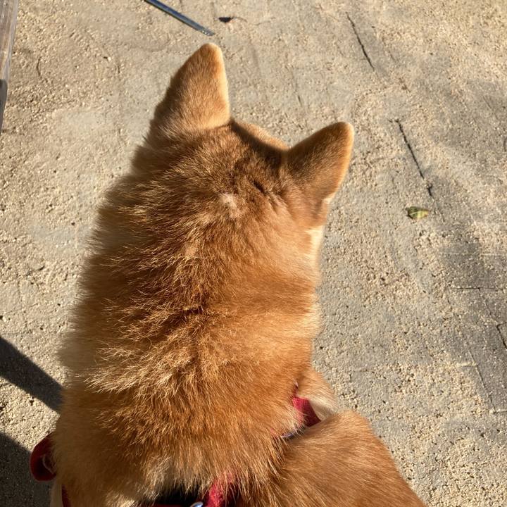 33e1bdd1 4eb8 4097 a40c 39737d389a3b 1639362275599