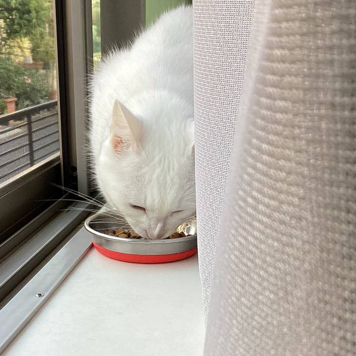 33e1d090 d43f 4a1e 89fc dc528207bf95 1687652400438