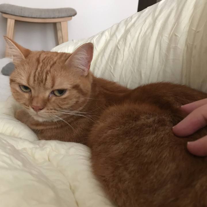 33e1d254 b0e0 450a ba81 af8f59a21543 1538348100457