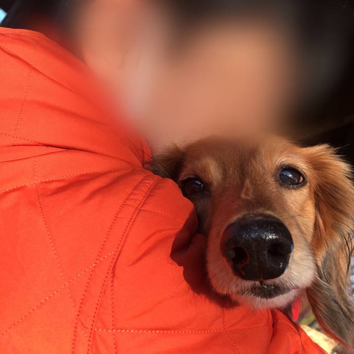 33e1ed5a 51db 4eb5 828c 893e02dc3d99 1547973403159